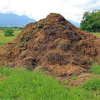 speed up your compost pile by avoiding huge piles of compost