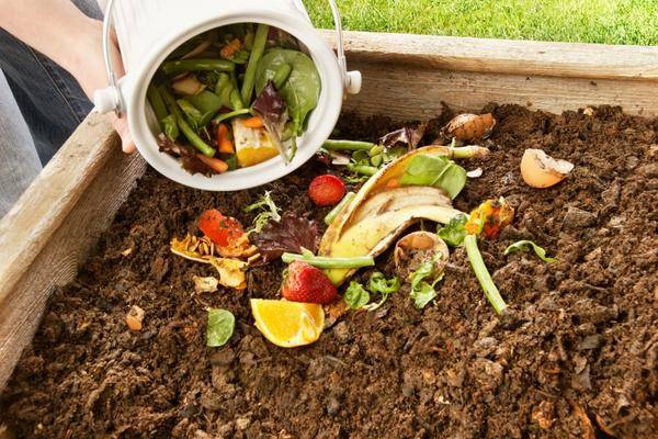 Start Composting Thanksgiving