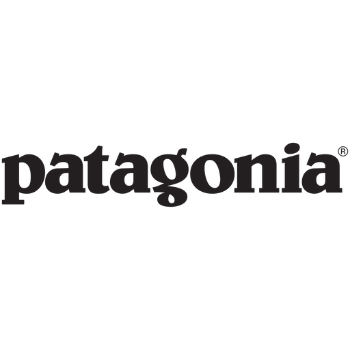 patagonia green companies